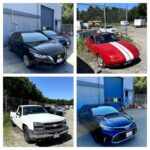 Norfolk Police Auction